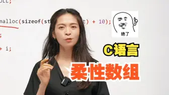 讲的太好了！柔性数组
