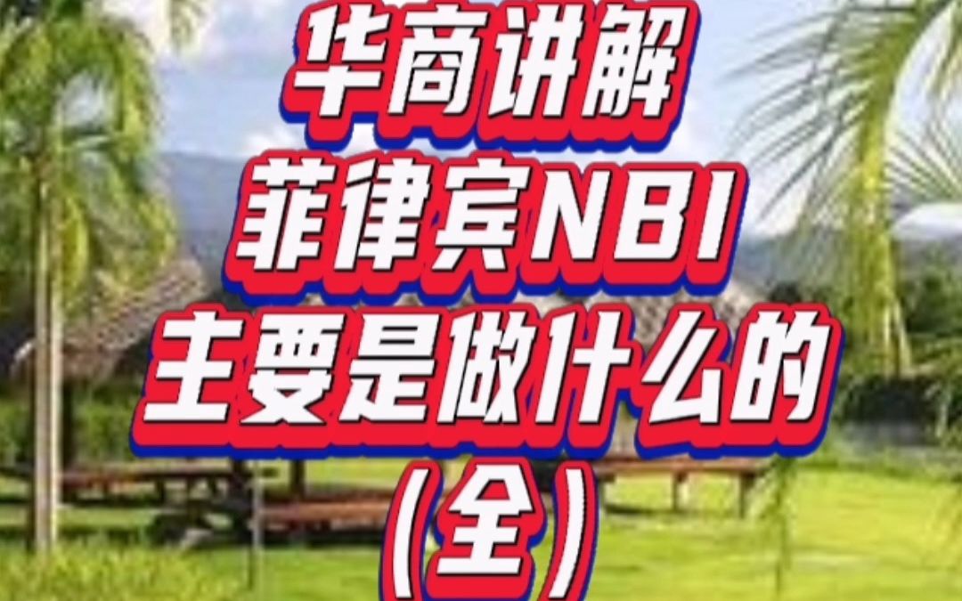 菲律宾NBI主要是做什么的(全)哔哩哔哩bilibili