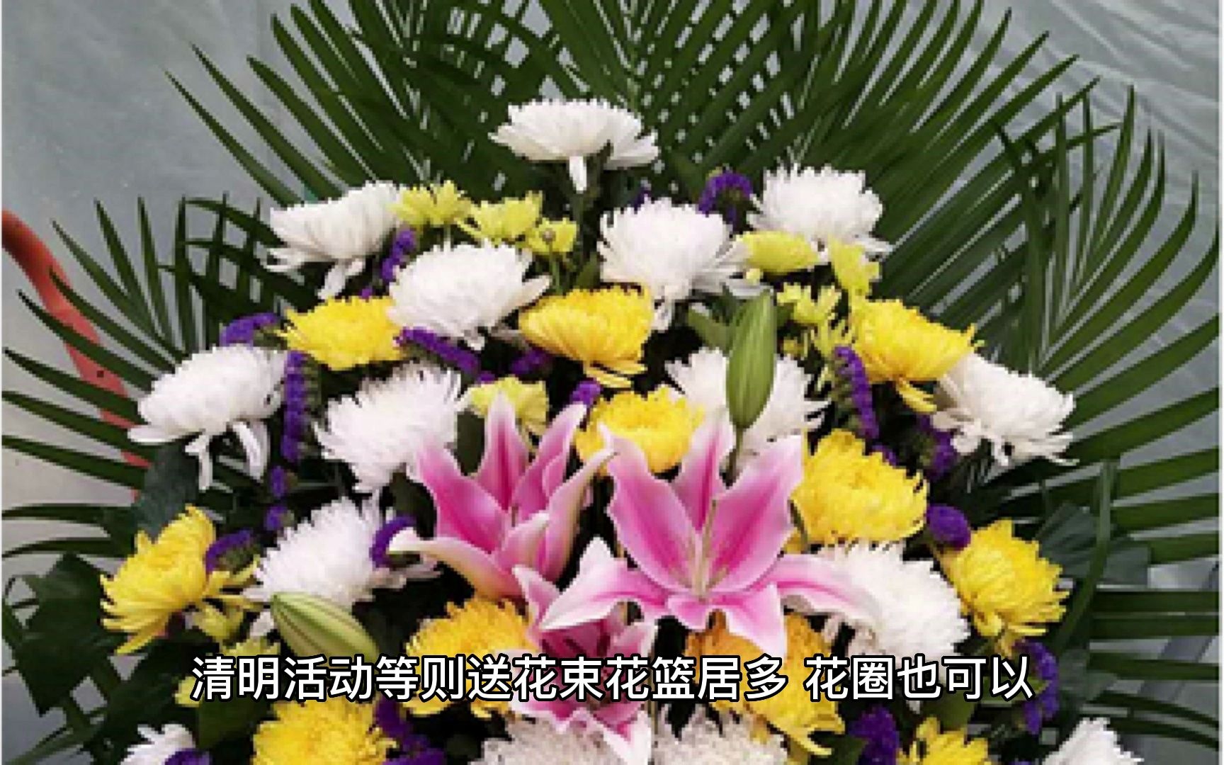 去世了该送什么花:思念与祈福,请让这些花替您言明哔哩哔哩bilibili