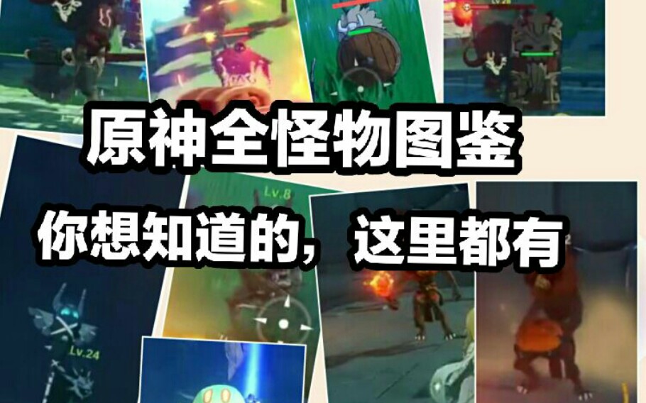 原神怪物图鉴全员全网首发