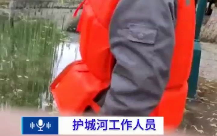 济南护城河冒“黑水”?水务局回应:环卫工冲刷马路的泥水流入,不是生活污水哔哩哔哩bilibili