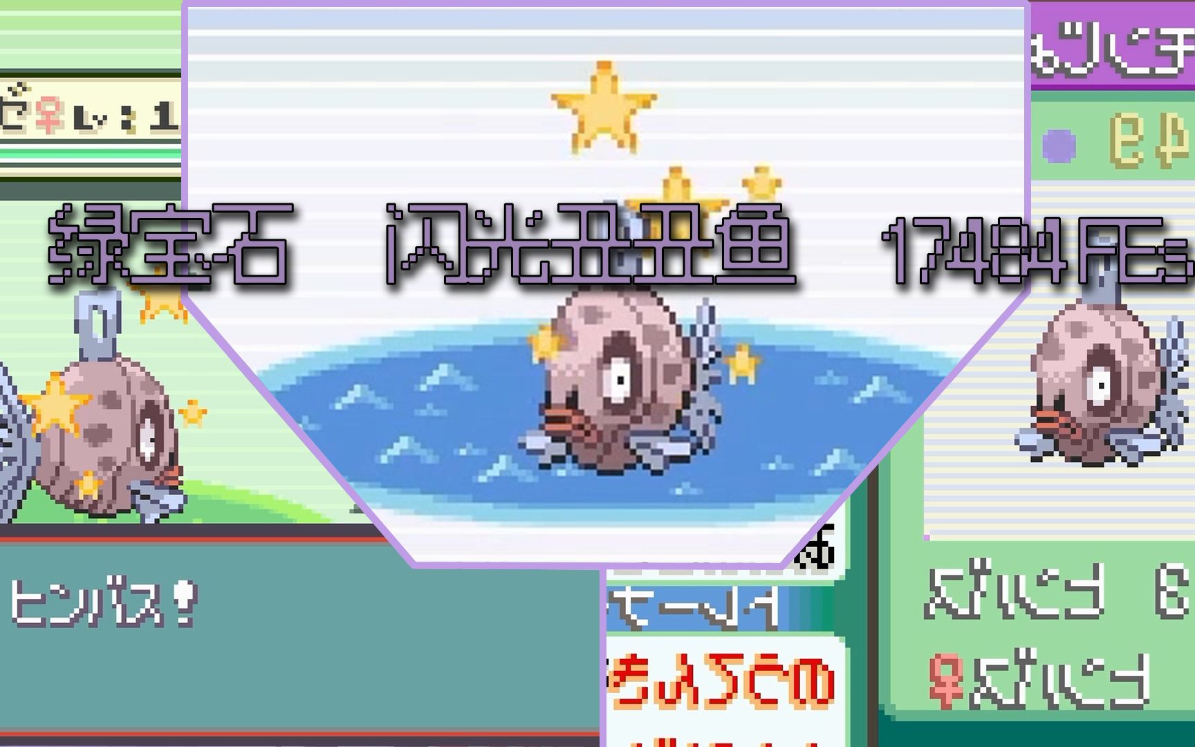 [图]2023新春礼物！绿宝石闪光母丑丑鱼♀，Phase3 合计17484 FEs【Gen3 Shiny Diary】