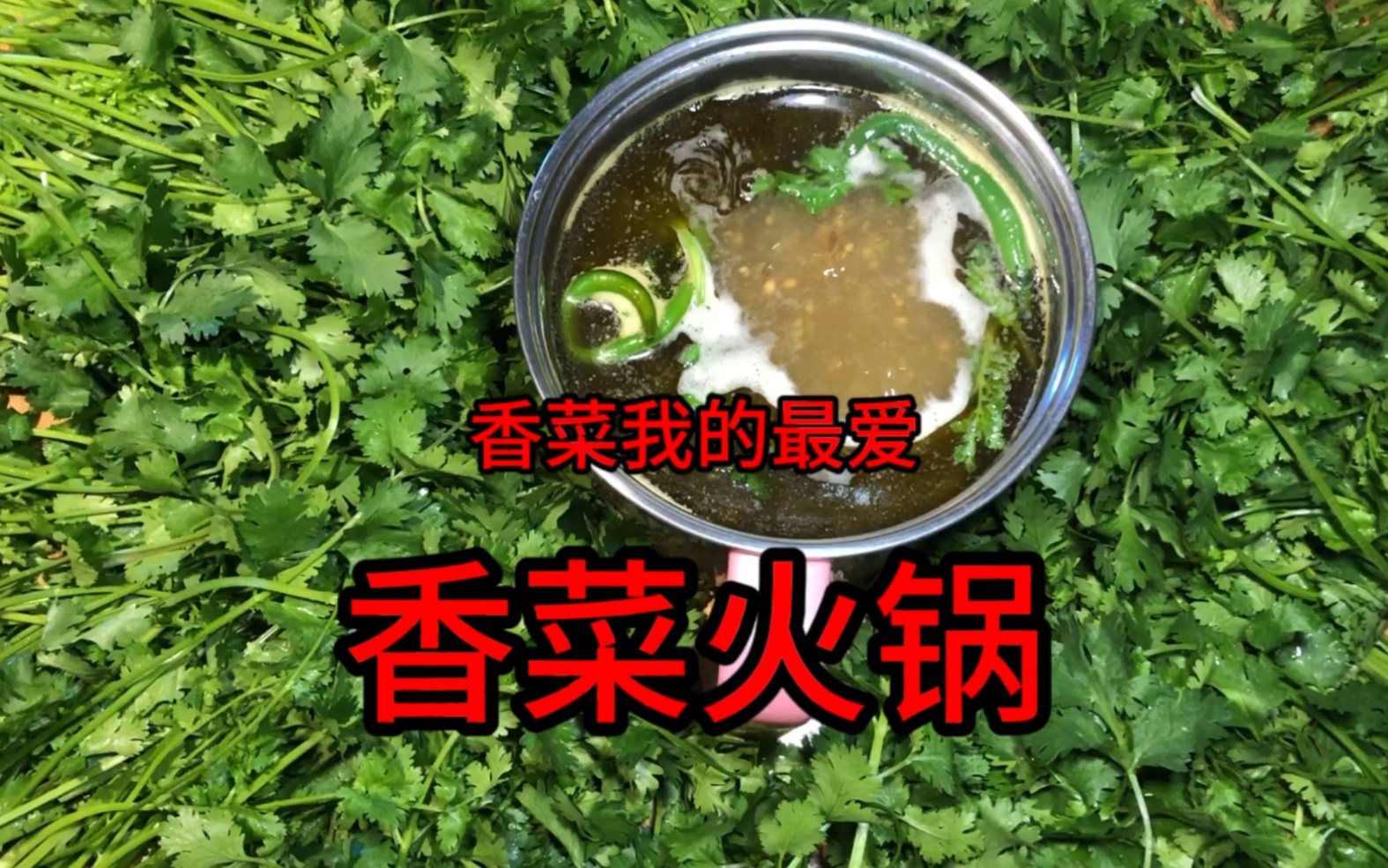 香菜我的最爱,吃一顿香菜火锅吧!
