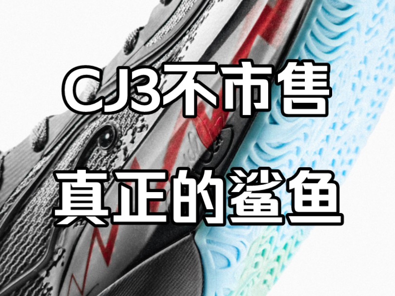 这才是真正的大白鲨!cj3不市售sample!哔哩哔哩bilibili