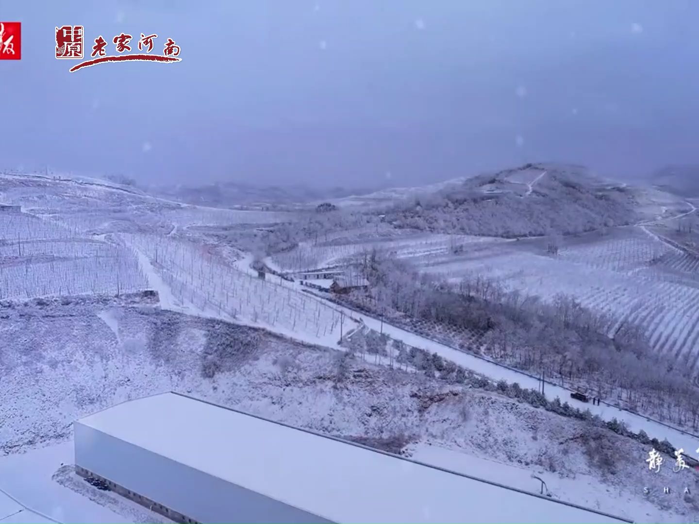 行走河南·讀懂中國 | 洛寧上戈絕美雪景,千里冰封恍若隔世,伏牛雪鄉