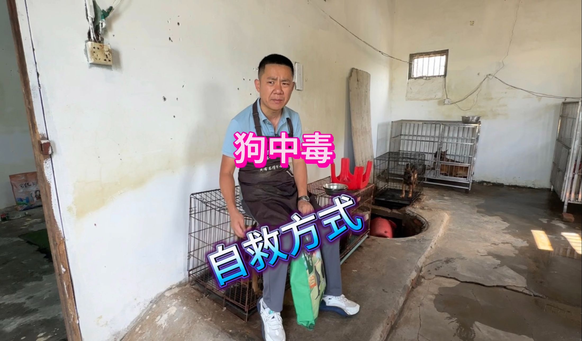 狗狗中毒了怎么办?记住以下几点!教你如何在家自救