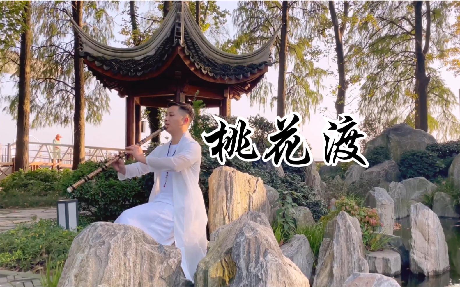 桃花渡 演奏 江维