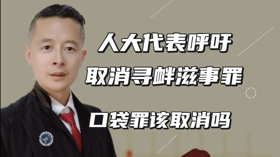 人大代表呼吁取消寻衅滋事罪,万能的口袋罪该取消吗哔哩哔哩bilibili