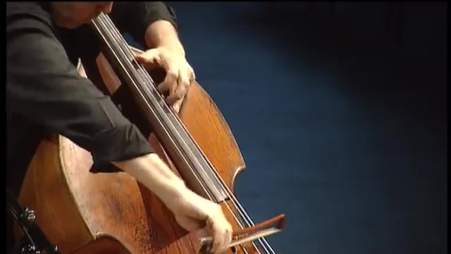 [图]万哈尔低音提琴协奏曲(Vanhal Double Bass Concerto in D Major)