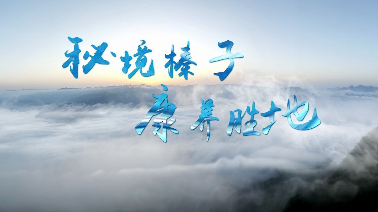 乡村振兴规划篇哔哩哔哩bilibili