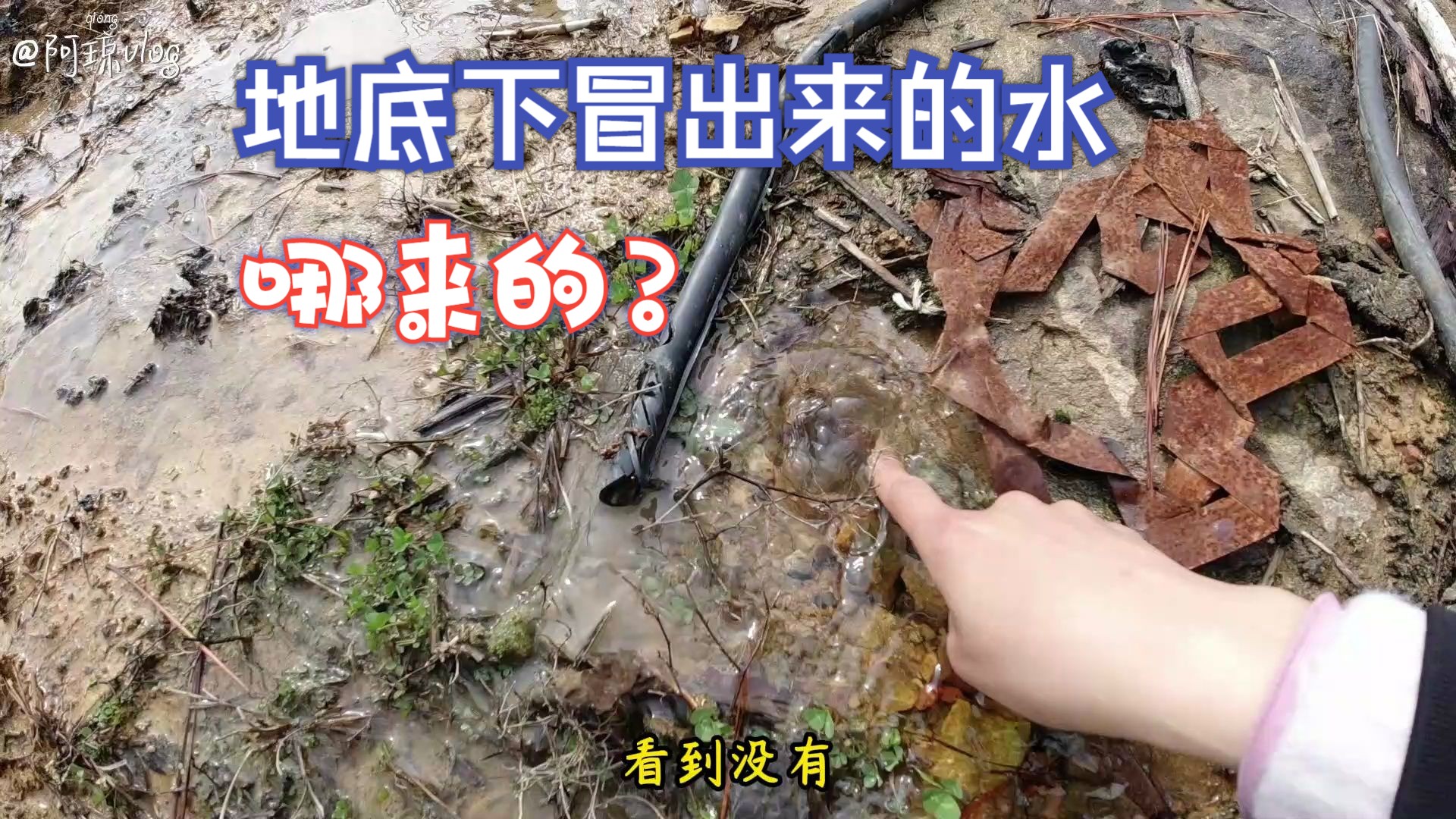 这是泉眼吗 山上涌出的泉水 是如何形成的 地下水哪里的 山泉水哔哩哔哩bilibili