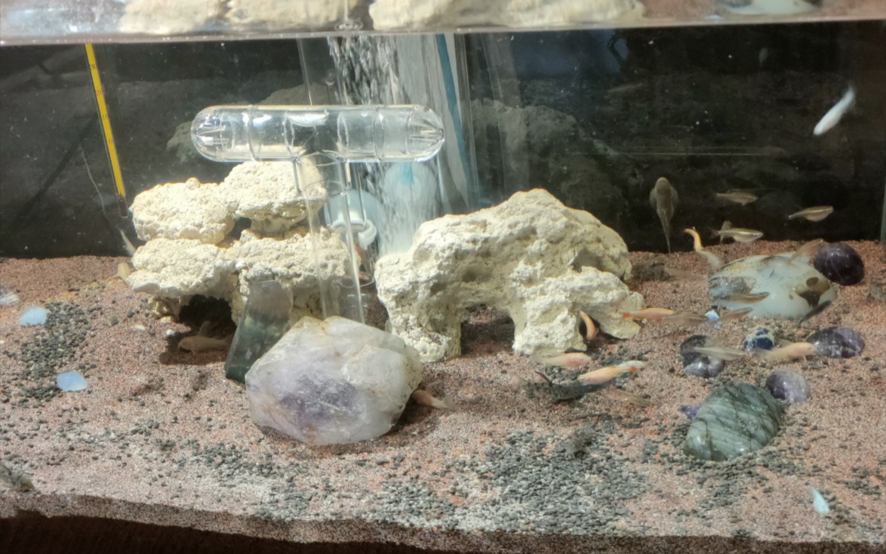 反冲式底砂过滤最大的优点就是出水口位可以更加灵活布置