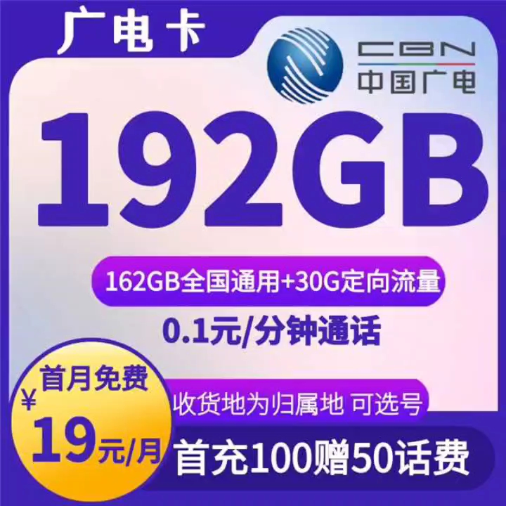 19元192g广电卡