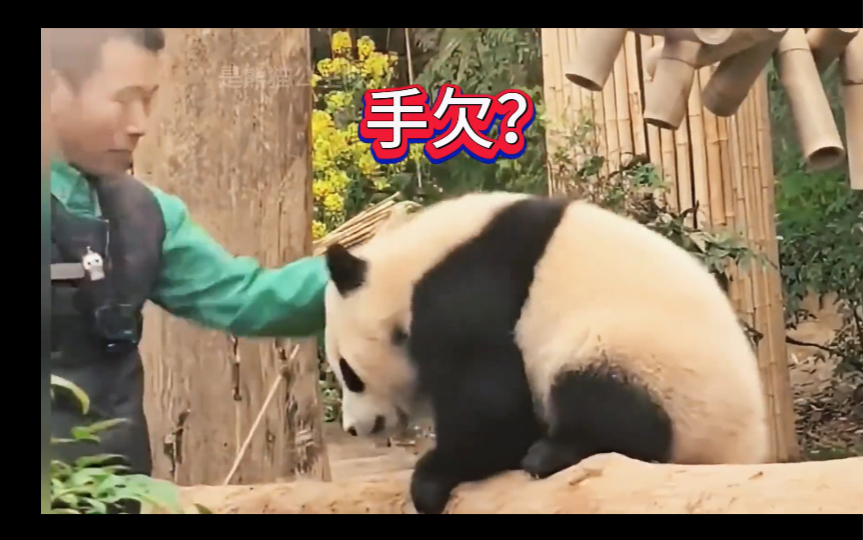 爷爷竟敢摸辉宝的屁股,这下一发不可收拾了