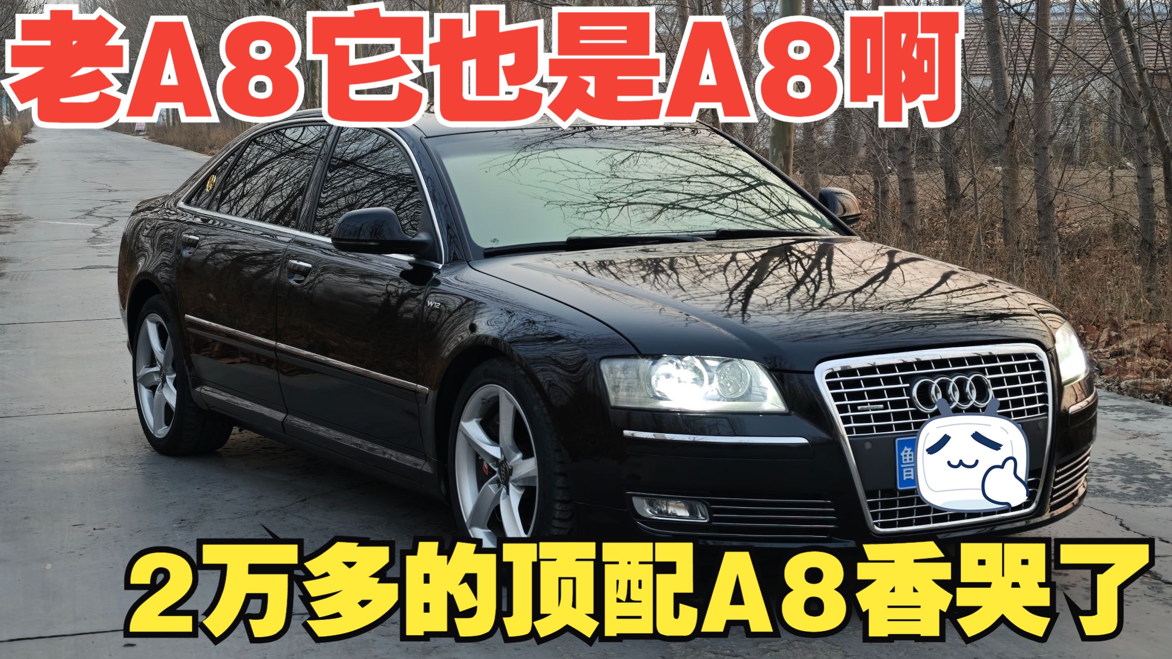 2万多的顶配A8是不是香麻了