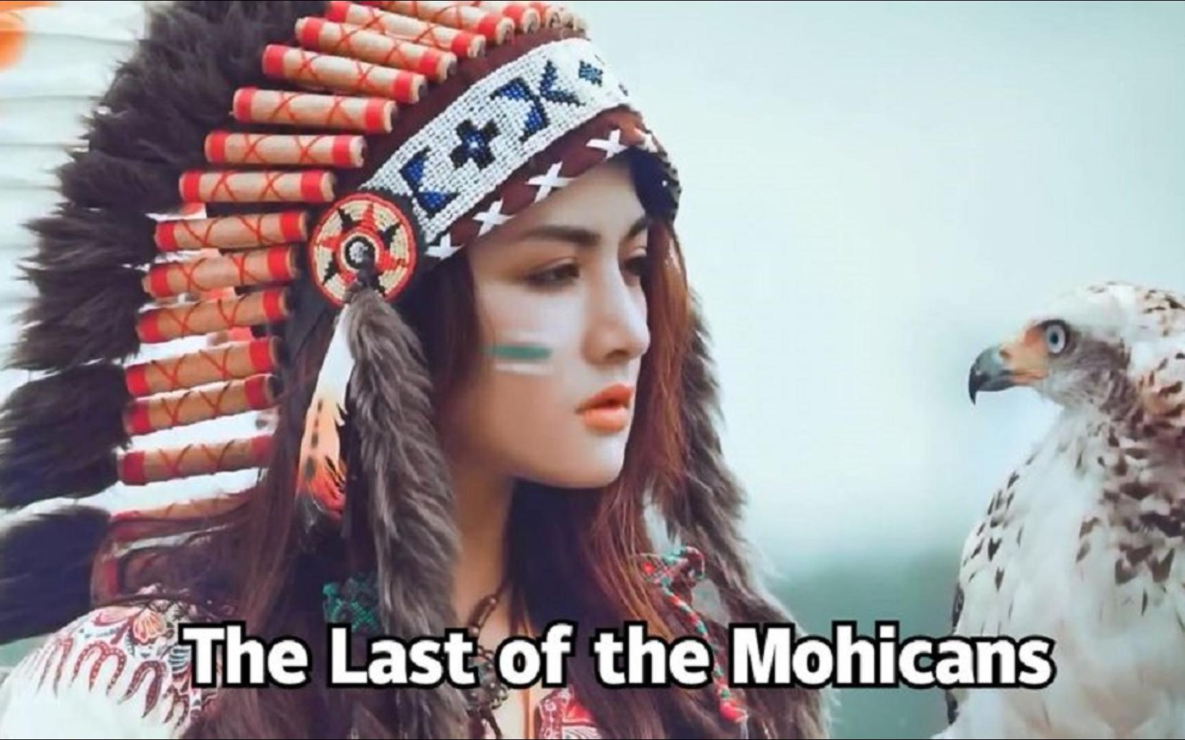 印第安人名曲《The Last of the Mohicans》最后的莫希干人哔哩哔哩bilibili