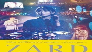 ZARD】What a beautiful memory 2008（剪辑版）_哔哩哔哩_bilibili
