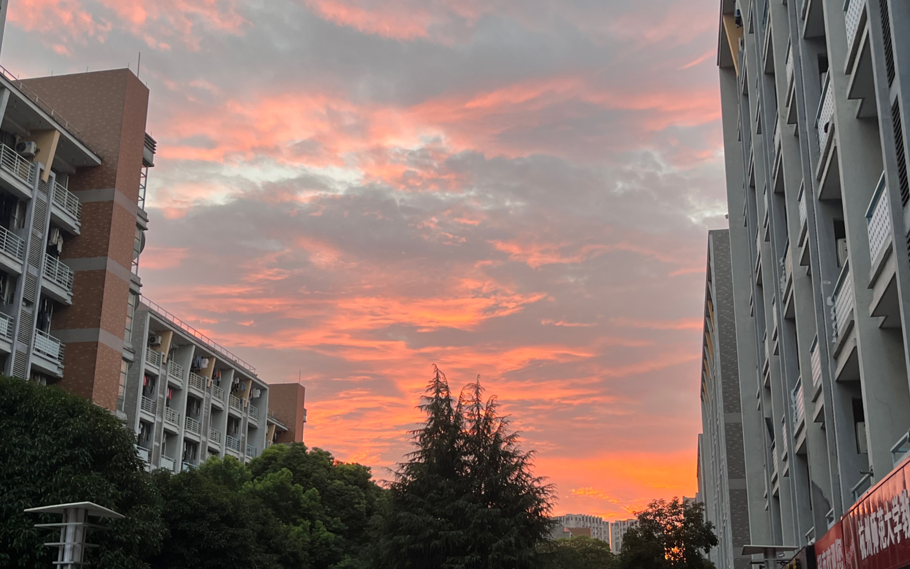 【杭州师范大学下沙校区】大一新生的三周