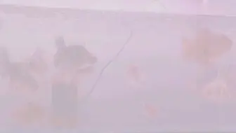 鱼儿在水的舞蹈中自由畅游，愿我们都能找到生活的律动与美好。