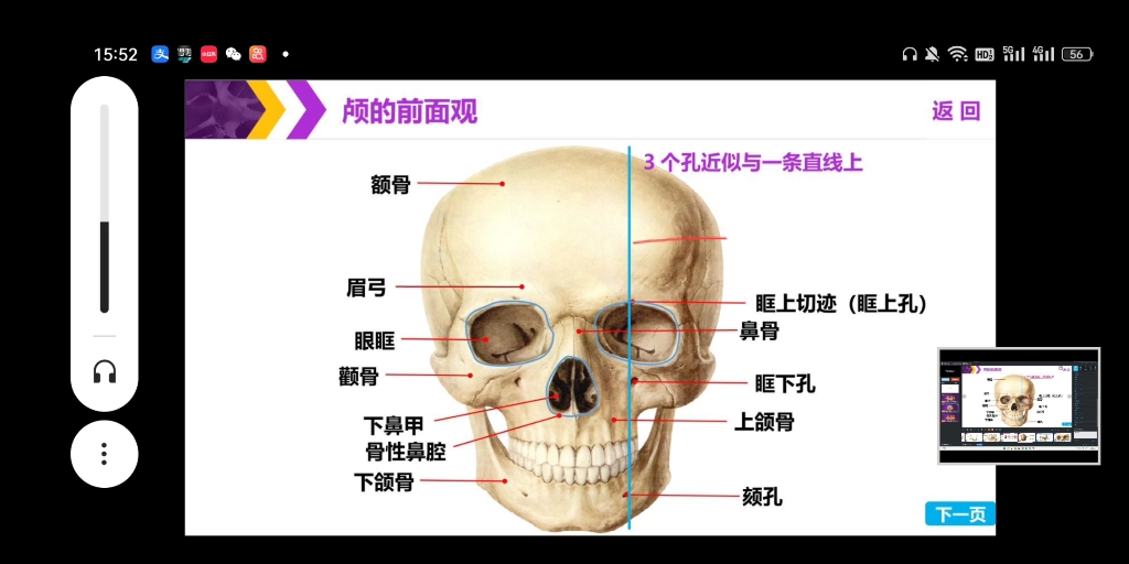 人体形态结构哔哩哔哩bilibili