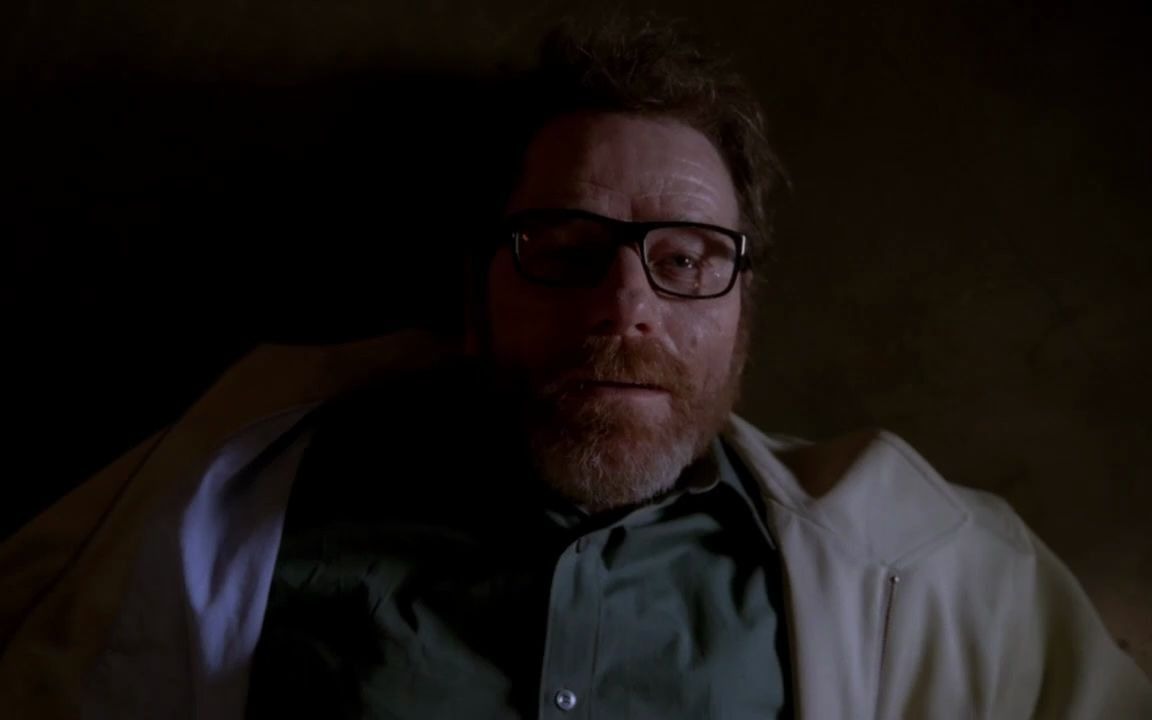 绝命毒师结尾曲再见了老白