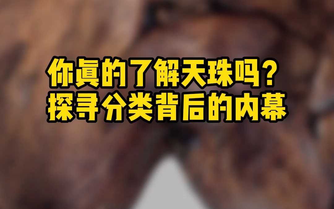 你真的了解天珠吗?探寻分类背后的内幕哔哩哔哩bilibili