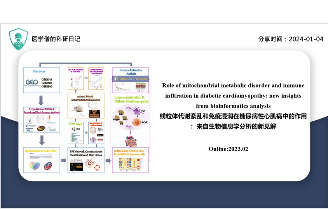 线粒体代谢紊乱和免疫浸润在糖尿病性心肌病中的作用来自生物信息学分析的新见解哔哩哔哩bilibili