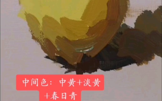 色彩静物苹果画法小示范,步骤二画中间色哔哩哔哩bilibili