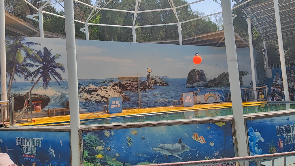 【动物乐园】与海狮的欢乐时光