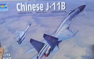 Download Video: 小号手1/72歼-11B模型开盒