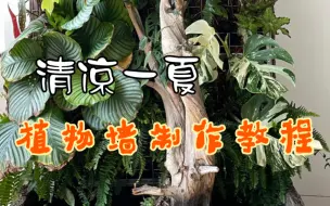 Download Video: 居家植物墙制作攻略