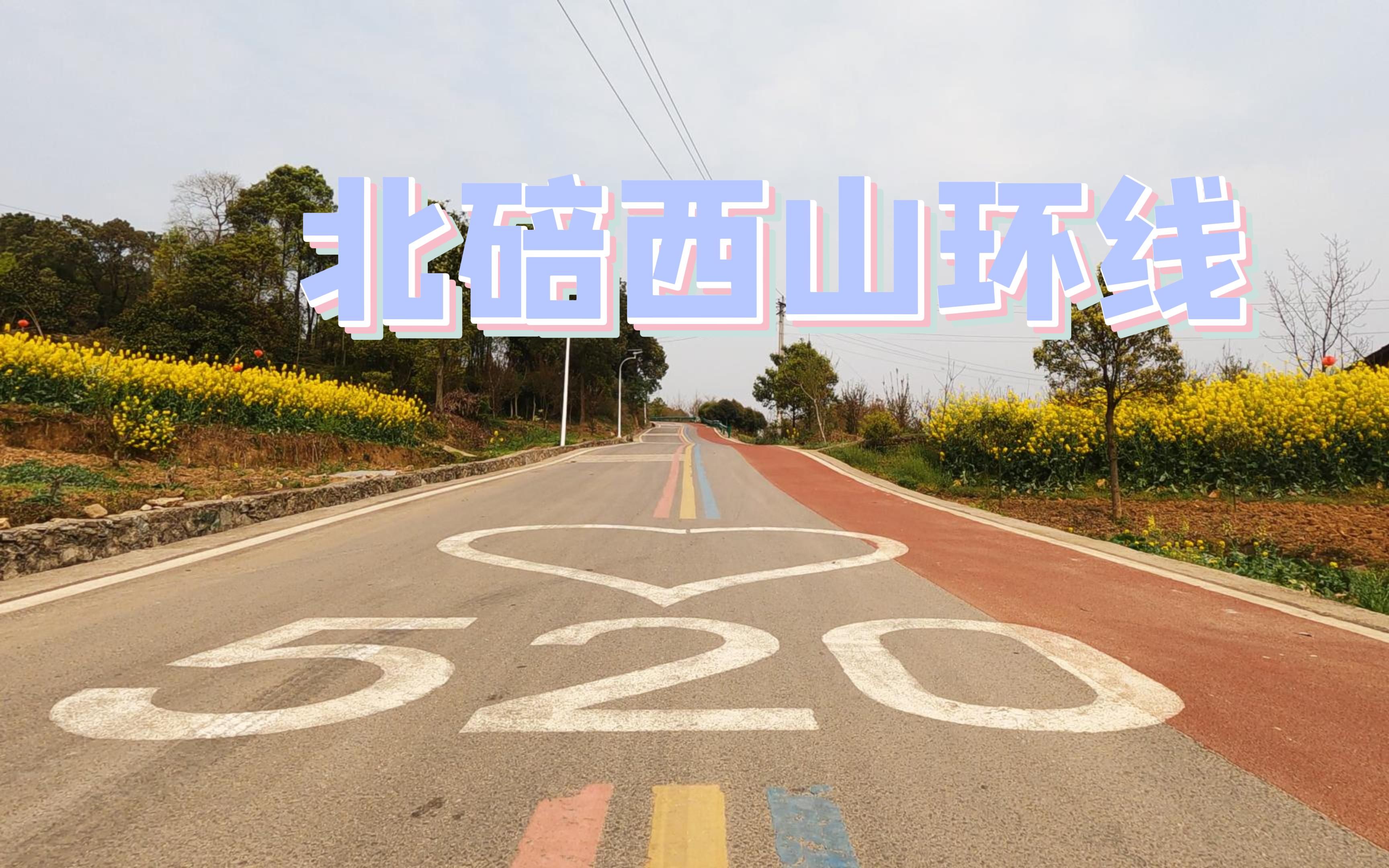 4K | 纯拍风景 | 公路车骑行哔哩哔哩bilibili