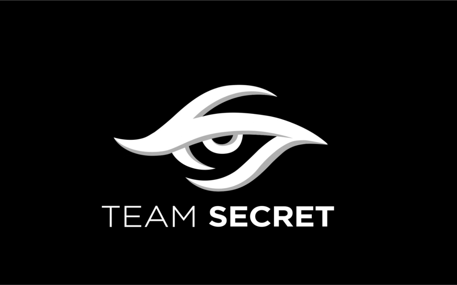 TeamSecret秘密战队Dota2分部2019赛季回顾哔哩哔哩bilibili