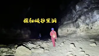深山老林发现神秘黑洞，胆大小伙进入探索，里面竟然隐藏狮身人面像