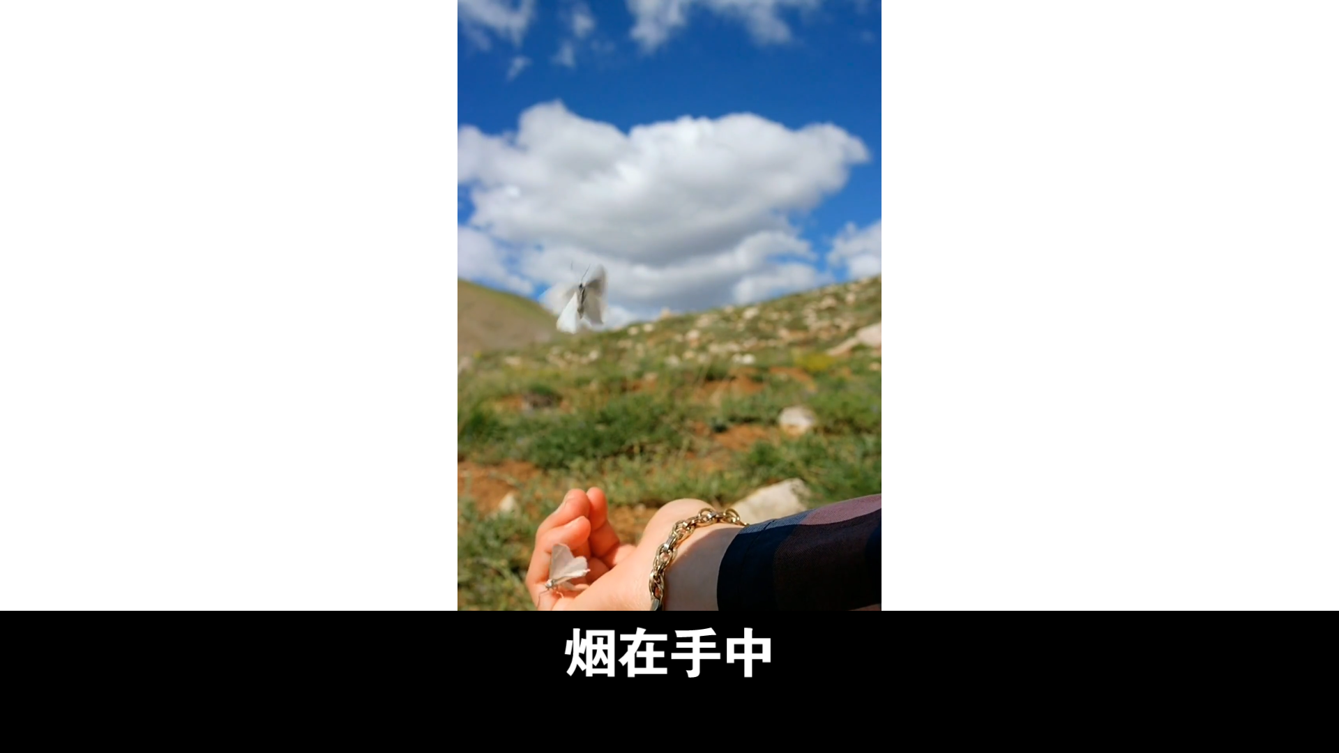 我的手指,我的烟火