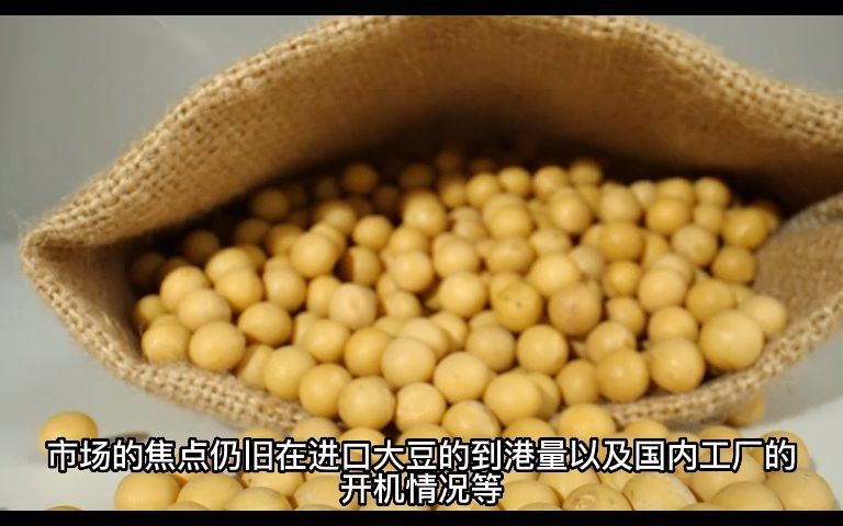 10月26日 大豆价格行情信息哔哩哔哩bilibili