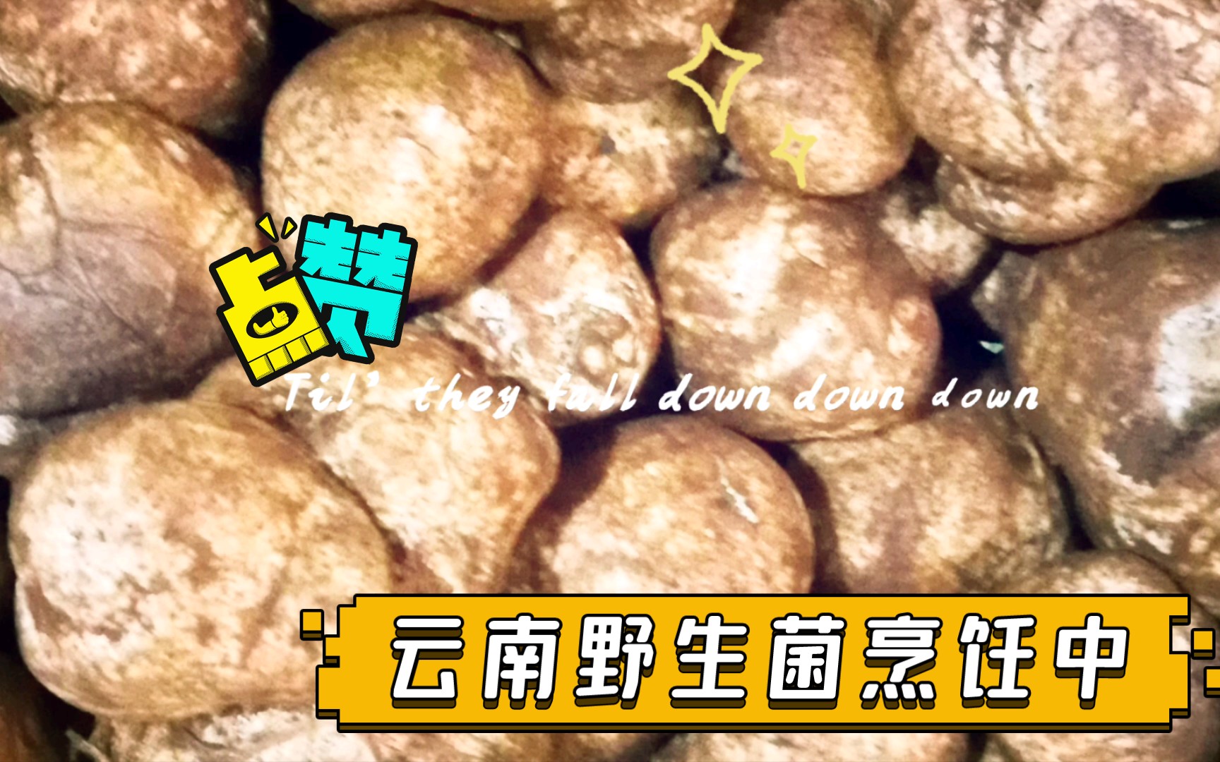 云南野生菌烹饪中,"圆圆菌","鸡腰子"