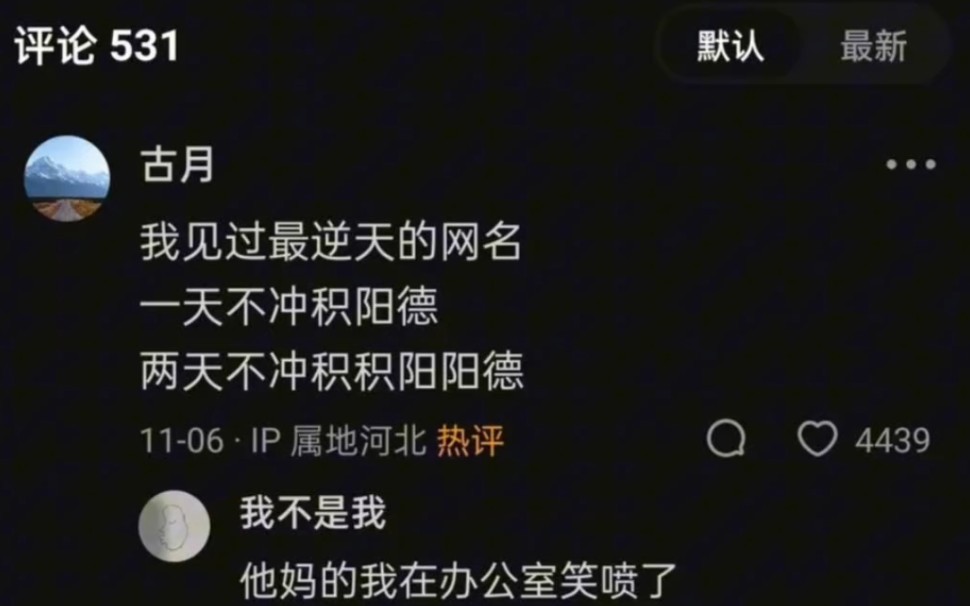 我见过最逆天的网名,一天不冲积阳德,两天不冲积积阳阳德哔哩哔哩bilibili