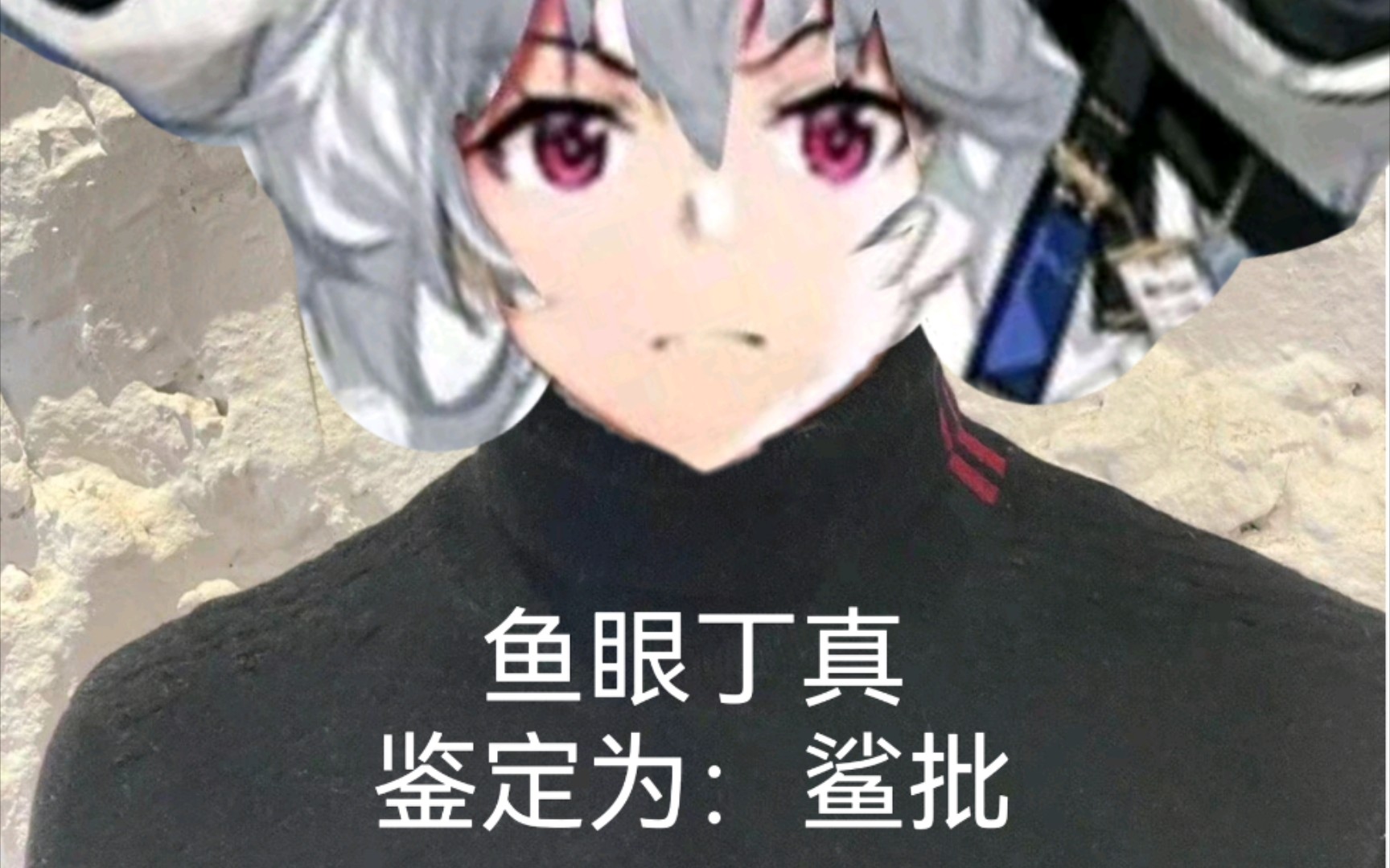 活动  论:如何尬黑归溟幽灵鲨的强度