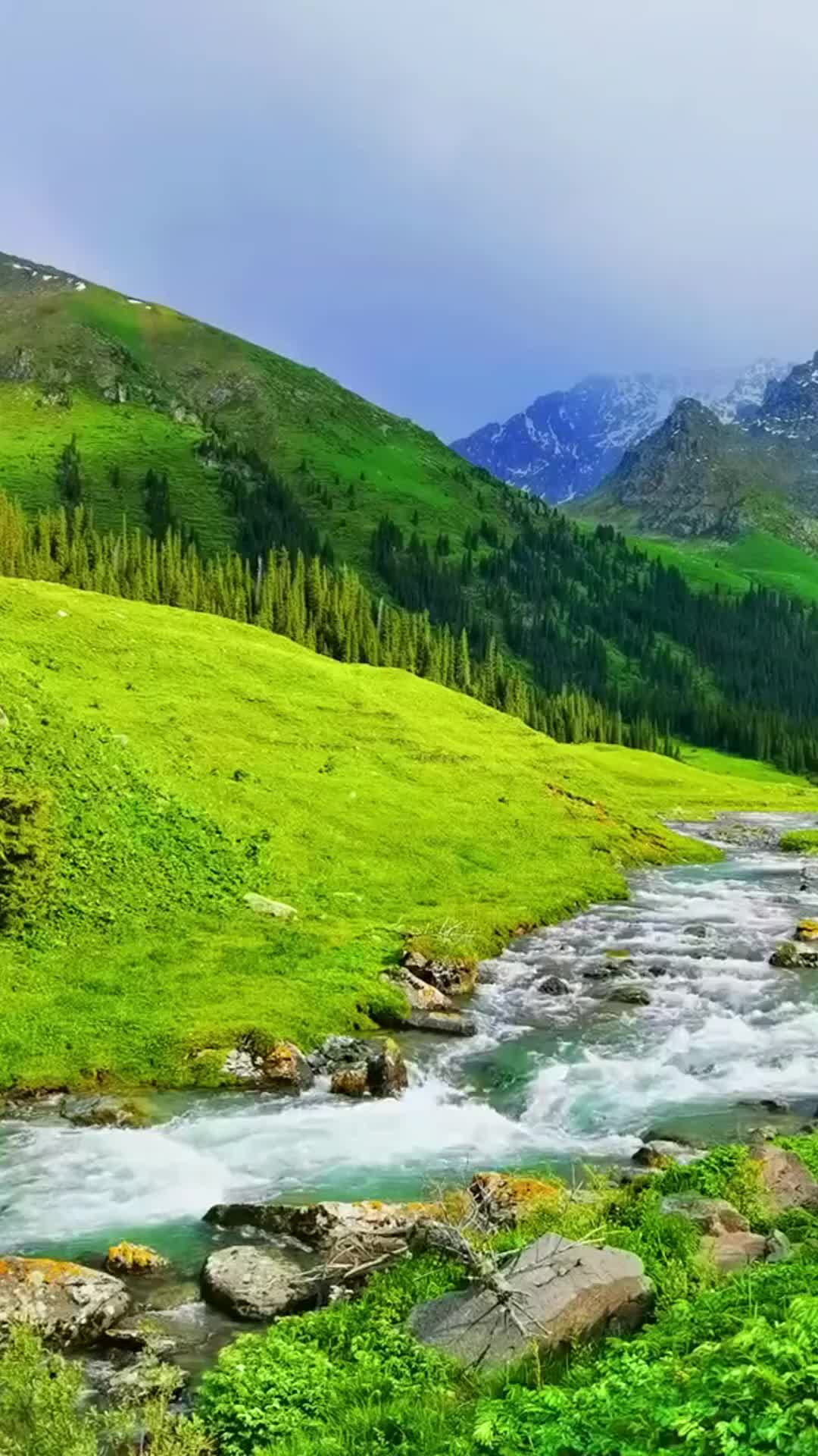 大美新疆的治愈系自然风光