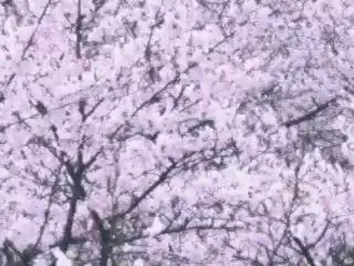 中野テルヲ-哔哩哔哩_Bilibili