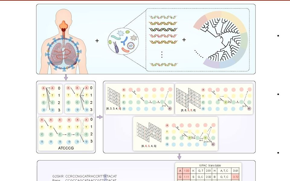 iMeta | multiPrime:一款可靠、高效的靶向测序工具哔哩哔哩bilibili