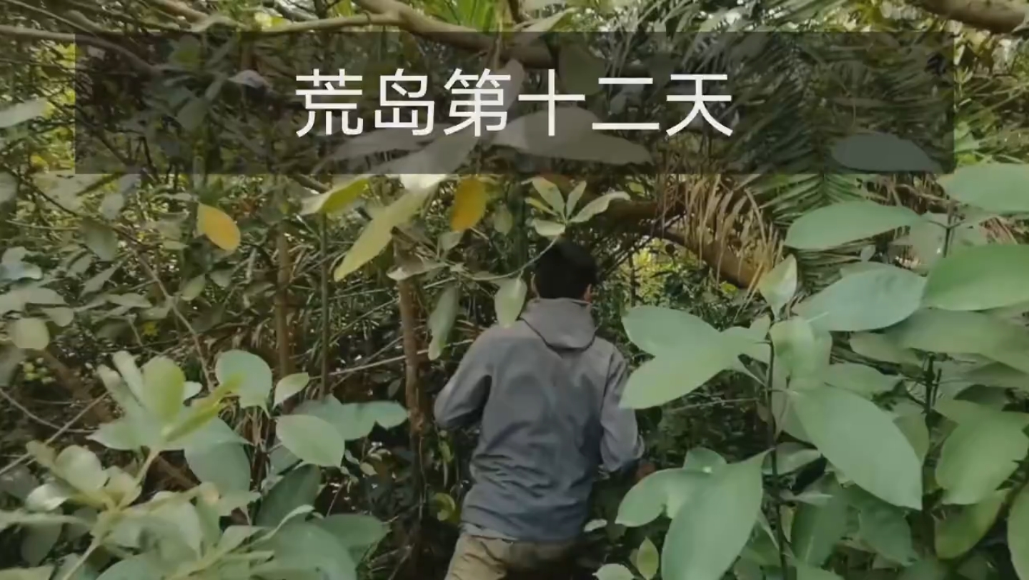 荒野求生第四季:荒岛求生完哔哩哔哩bilibili