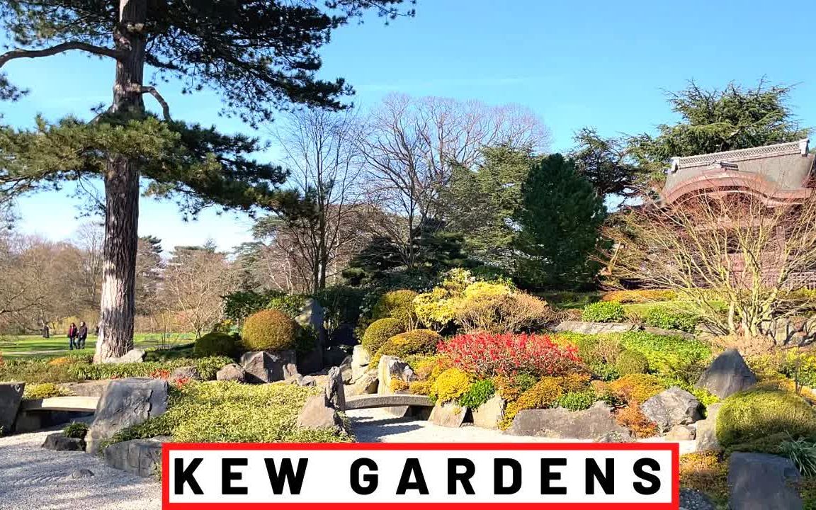 [4K] 英国园林漫步丨伦敦邱园丨KEW GARDENS  Royal Botanic Gardens [ part 1 ]哔哩哔哩bilibili