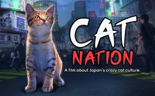 Descargar video: 【纪录片】猫咪国度-Cat Nation