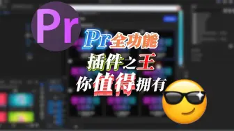 Video herunterladen: 【PR插件】仅一个插件完胜剪映素材库！2024PR插件天花板来啦！满足你99%的需求！彻底告别剪映，盘就完了！！