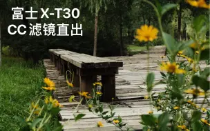 Download Video: 【富士xt30】，CC胶片模拟，1545镜头直出