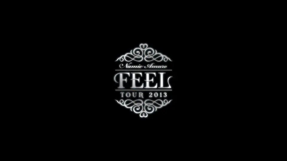 2013 FEEL TOUR_哔哩哔哩_bilibili