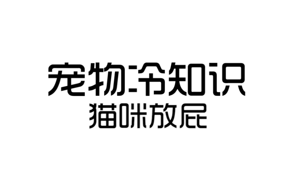 猫咪也会放屁!有时还挺臭...哔哩哔哩bilibili