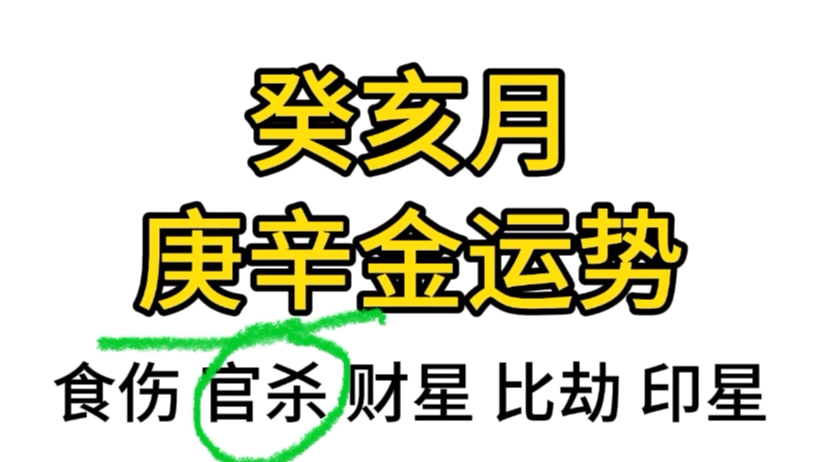 庚金辛金朋友,在癸亥月(本月)的运势分析哔哩哔哩bilibili